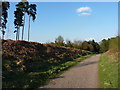 Bridleway through to Slitting Mill Road