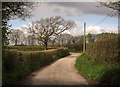 Lane to Bickham Moor