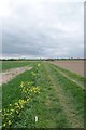 Footpath to Bournes Green