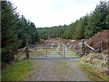 SN7694 : Locked gate into the forestry by Hafodwnog by John Lucas