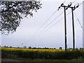 TM3888 : Electricity Poles & Wires by Geographer