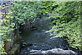 The River Darwen from Samlesbury Bridge