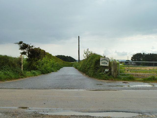 Lane to Trevarnon Farm