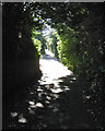 Looking up Pound Lane, Ringmore