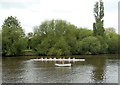 TQ1568 : Rowers on Thames near Hampton Court by Paul Gillett