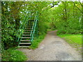 Viewing steps on the golf course