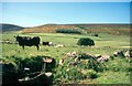 Rural Aberdeenshire from Longcroft