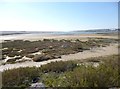 Wyke Regis, sandflats