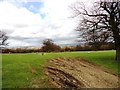 Ruined building in the field