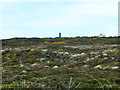 Rough ground near Wheal Coates