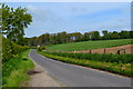 Country lane towards Leckford