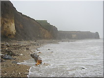NZ4151 : Eroding cliffs just south of Ryhope Dene by peter robinson