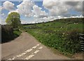 Lane to Charleshayes Farm