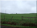 Farmland off Halifax Road