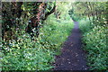 Path into Tiffield along the discarded railway track