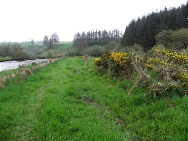 A grassy track, Rousky © Kenneth Allen cc-by-sa/2.0 :: Geograph Ireland