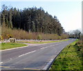 Coed y Garth north of Penygroes