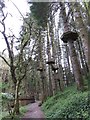 Elevated walkway at Bluestone holiday camp