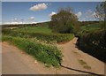 Lane junction, Chaffhay Head