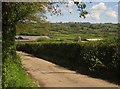 Lane to Chaffhay Farm