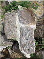 Benchmark on remains of village name stone