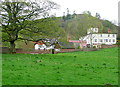 Houses on Cunnery Road