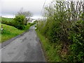 Lenagh Road, Fallagh Lower