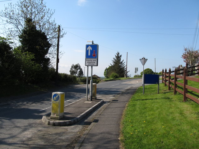 traffic-calming-measure-at-the-southern-eric-jones-geograph-ireland