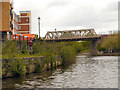 TQ7556 : River Medway, Rail Bridge at Maidstone by David Dixon