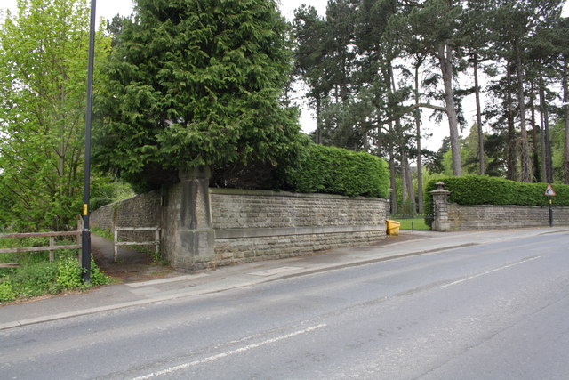 Junction of footpath with road at #36 Palace Road