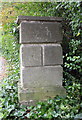 Gatepost with benchmark at entrance to #43 Palace Road