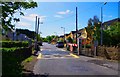R6663 : Railway level crossing on L1103 road, Castleconnell, Co. Limerick by P L Chadwick