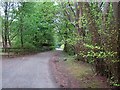 Driveway, Woodland Park