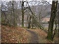 Path, Birnam Wood