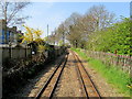 The Light Railway leaving Hythe