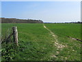 Saxon Shore Way heading towards Folks