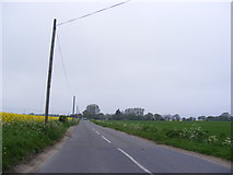 TG1523 : Buxton Road, Eastgate by Geographer