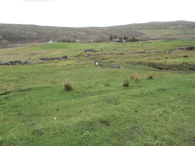 Rough grazing near Badfearn