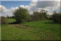 Footpath to Kingsbury Episcopi