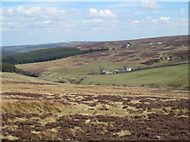 NY9049 : The valley of Beldon Burn around Heatheryburn by Mike Quinn