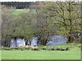 Cairn Water