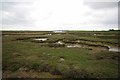 Saltmarsh Near Oxenham Farm