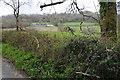 Farmland above Afon Mynys