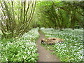 Cranborne, footpath