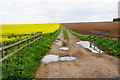 Farm track off the A61