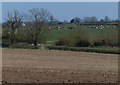 Farmland north of Odstone Hall