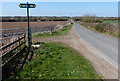 Footpath along Newton Lane