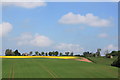 Agricultural scene near Felhampton