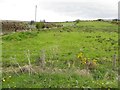 Crockanboy Townland