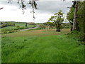 Countryside beside the A21